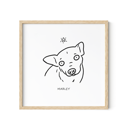 Memorial Ugly Pet Portraits