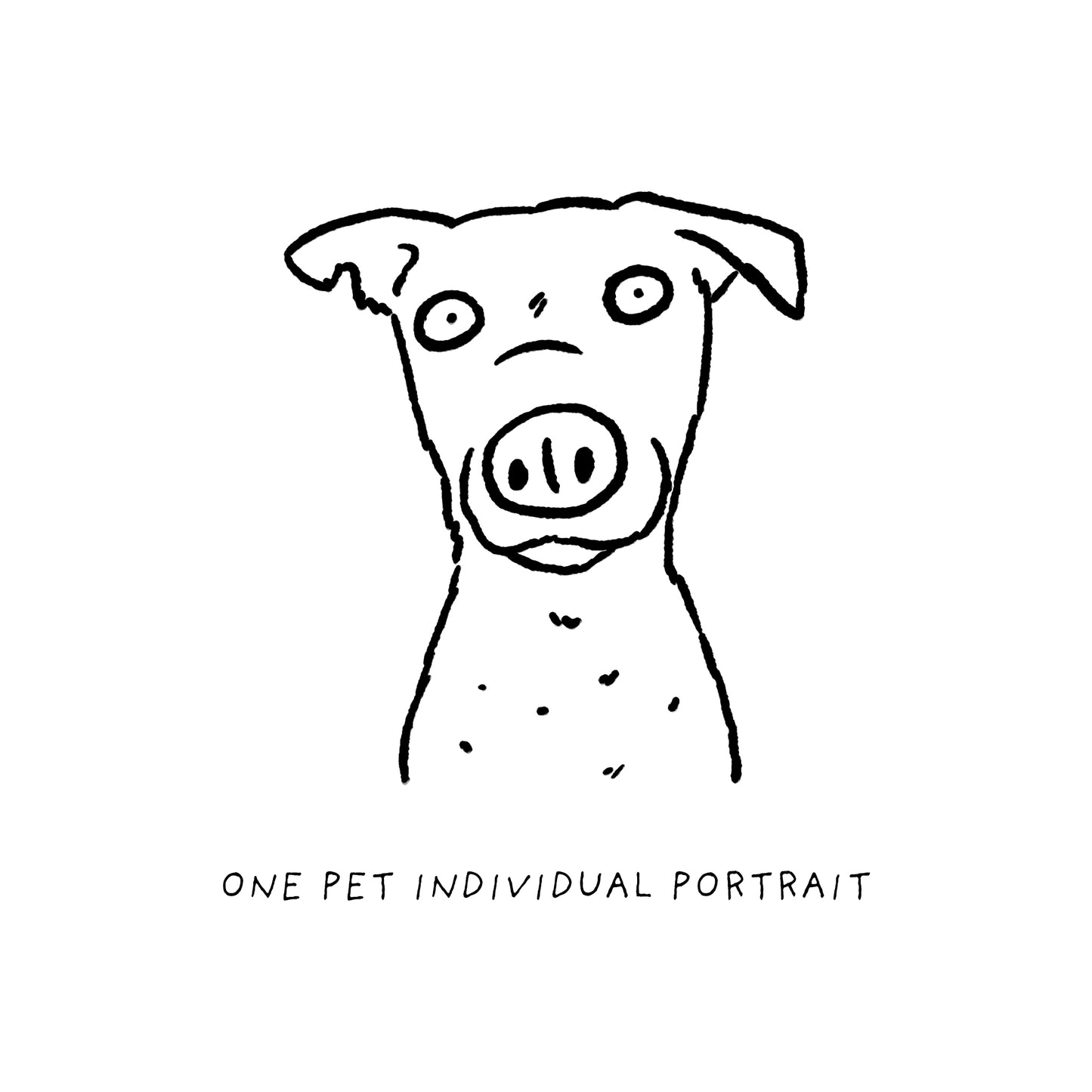 Ugly Pet Portraits