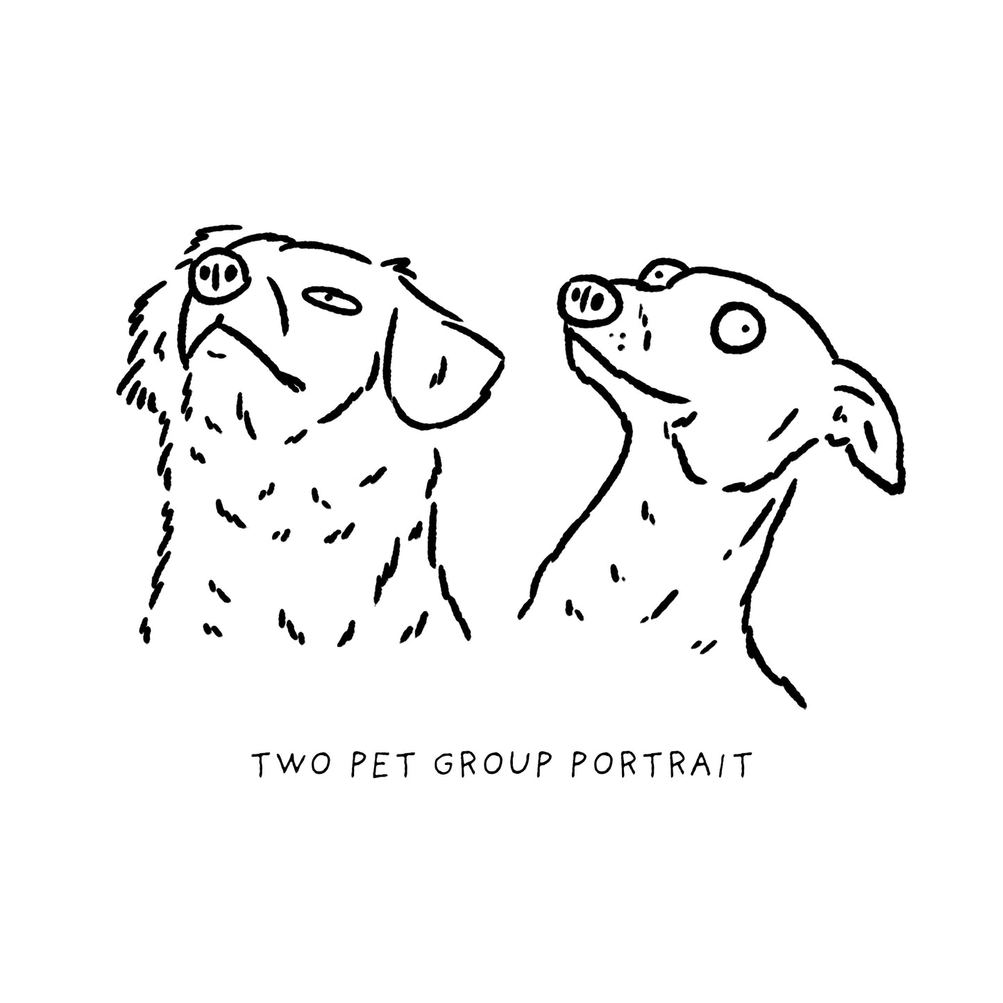 Ugly Pet Portraits