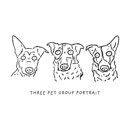 Ugly Pet Portraits