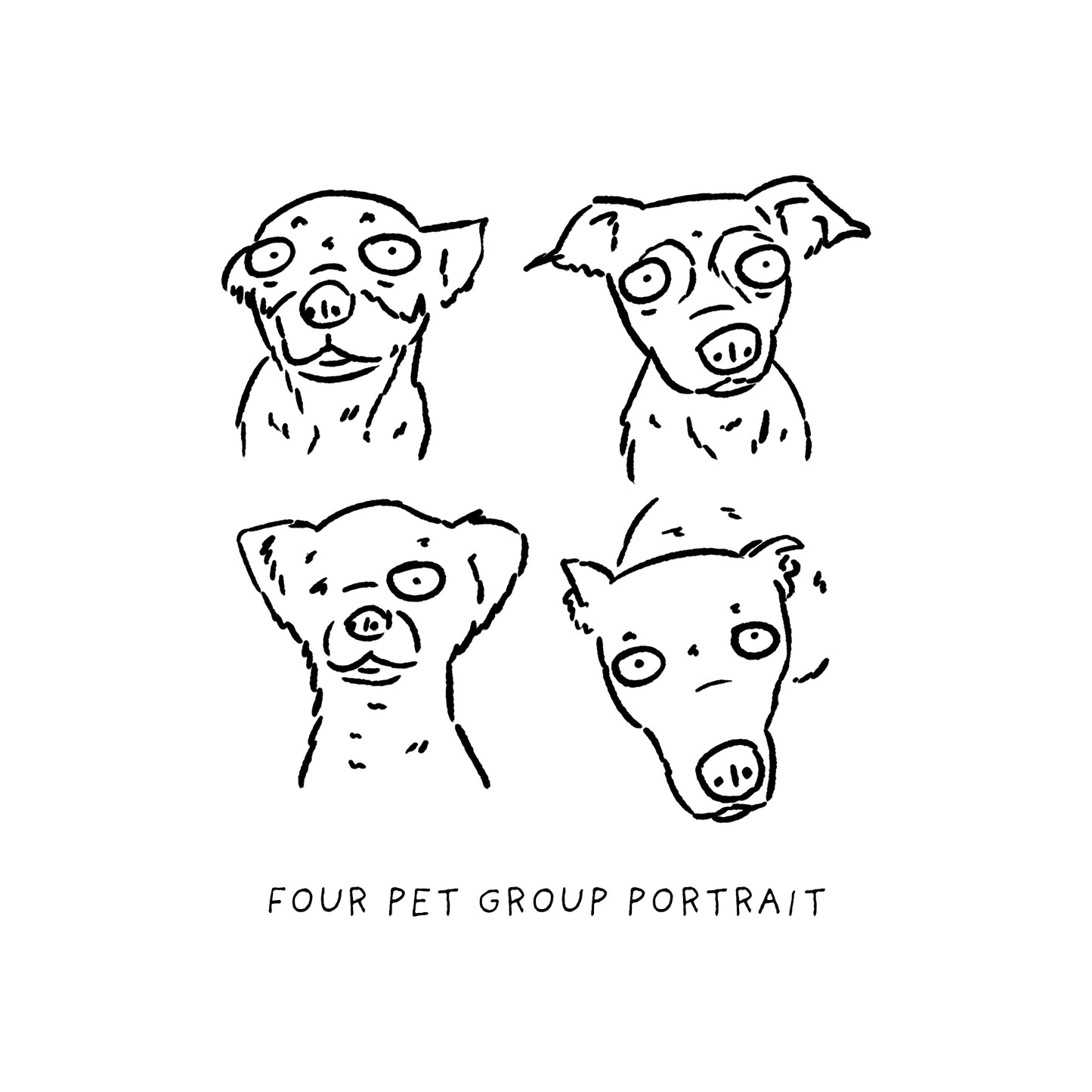 Ugly Pet Portraits