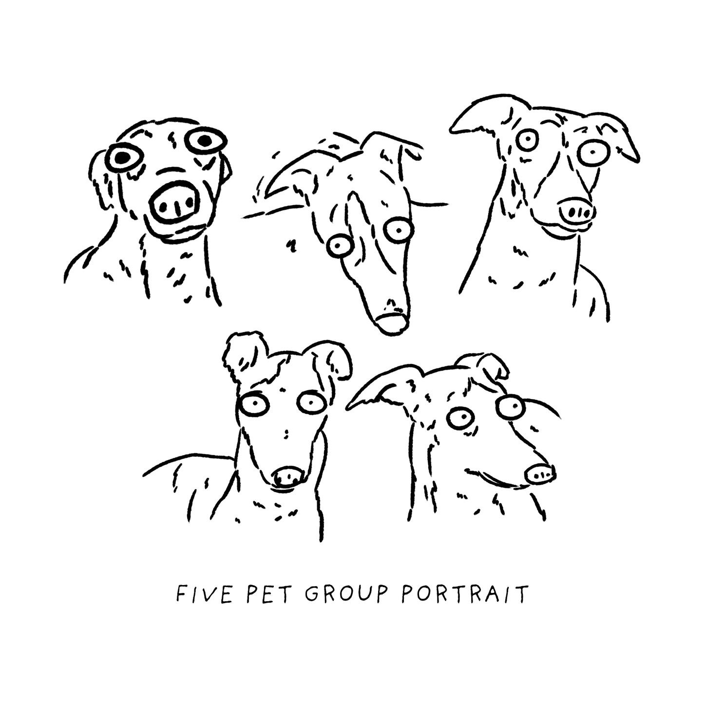 Ugly Pet Portraits