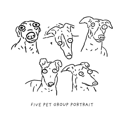Ugly Pet Portraits