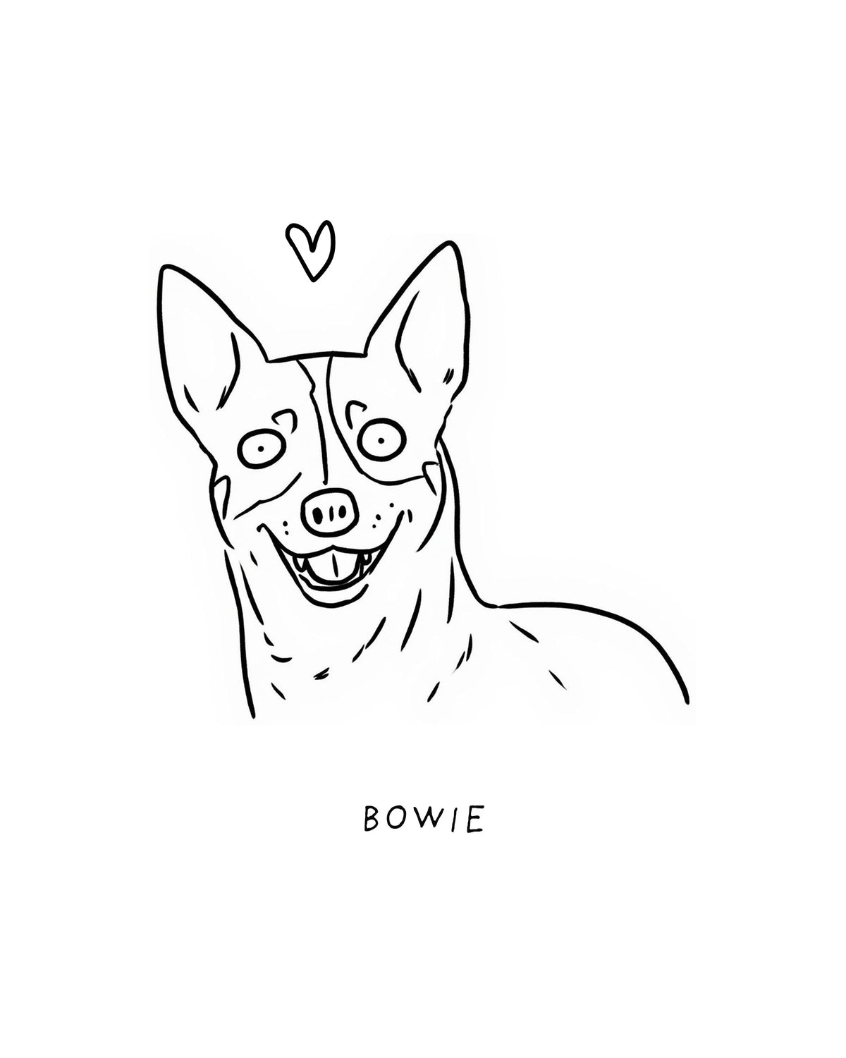 Memorial Ugly Pet Portraits