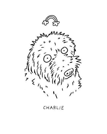 Memorial Ugly Pet Portraits