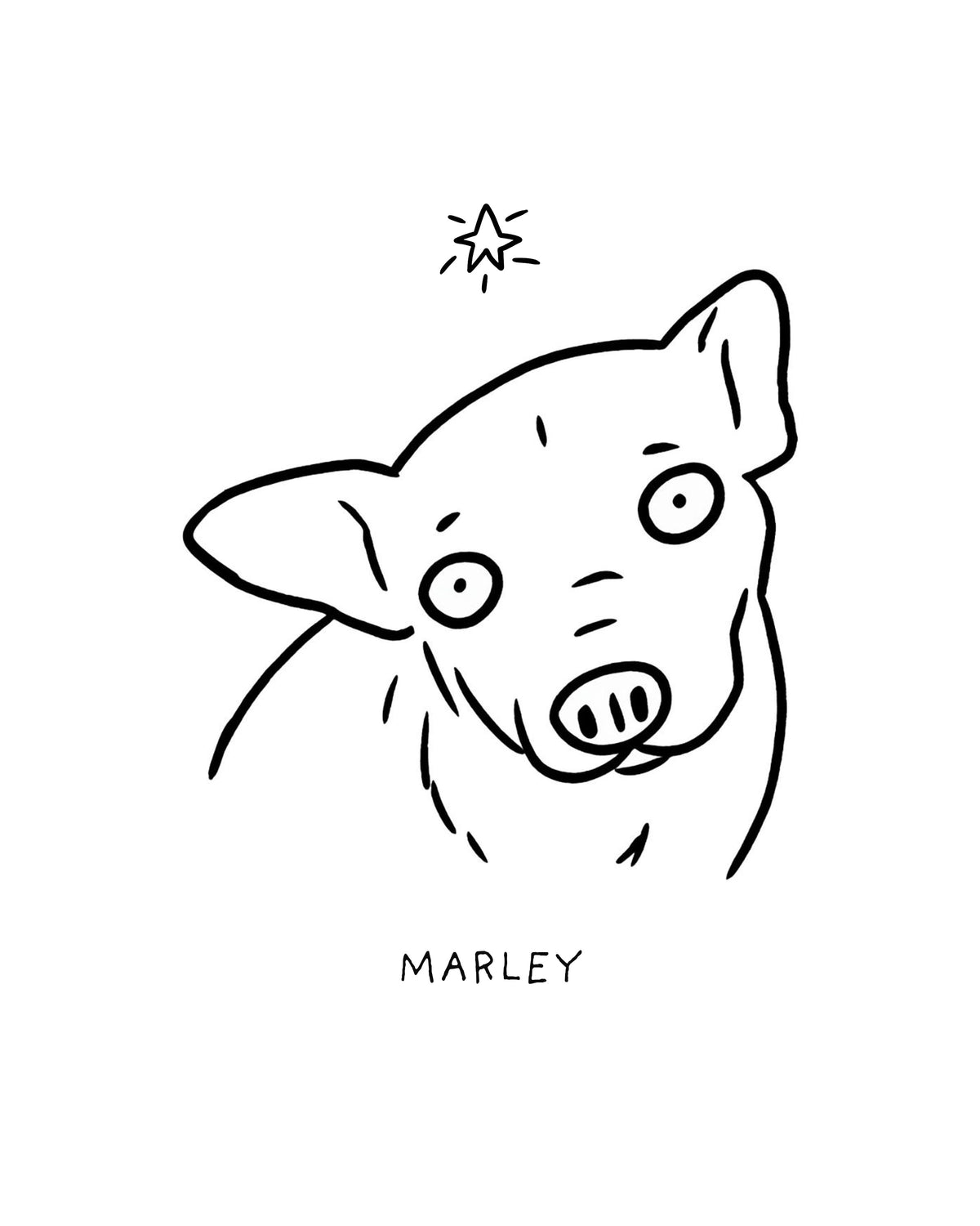 Memorial Ugly Pet Portraits