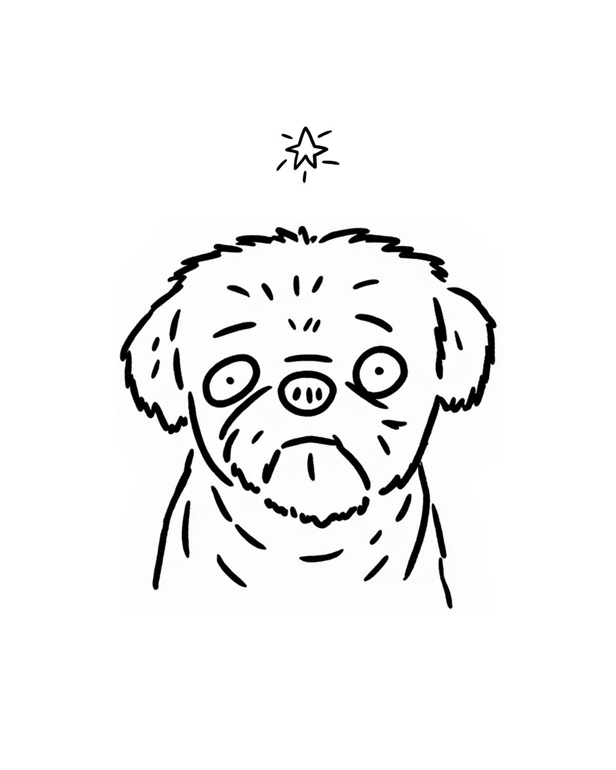 Memorial Ugly Pet Portraits