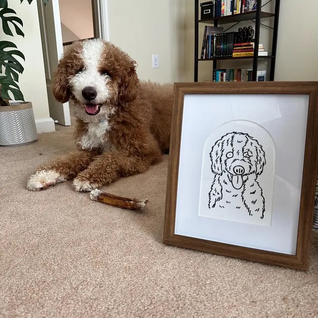 A curly brown dog beside a portrait, shared by customer Tracy