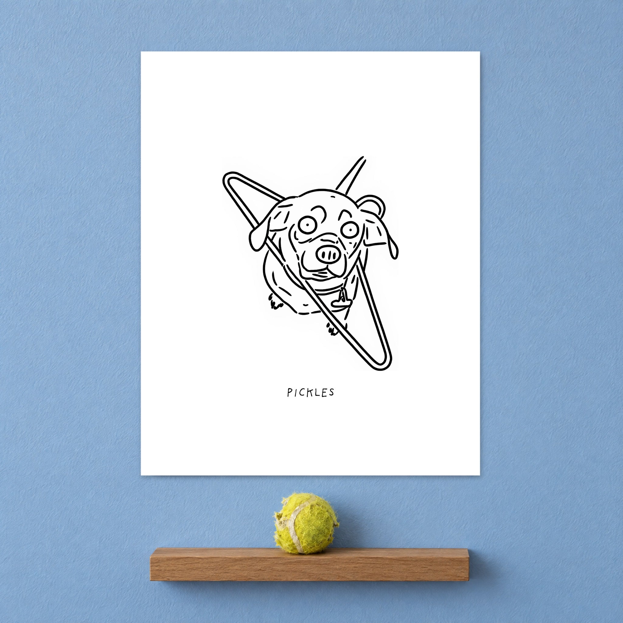Unframed Pickles portrait on a blue wall above a shelf with a tennis ball